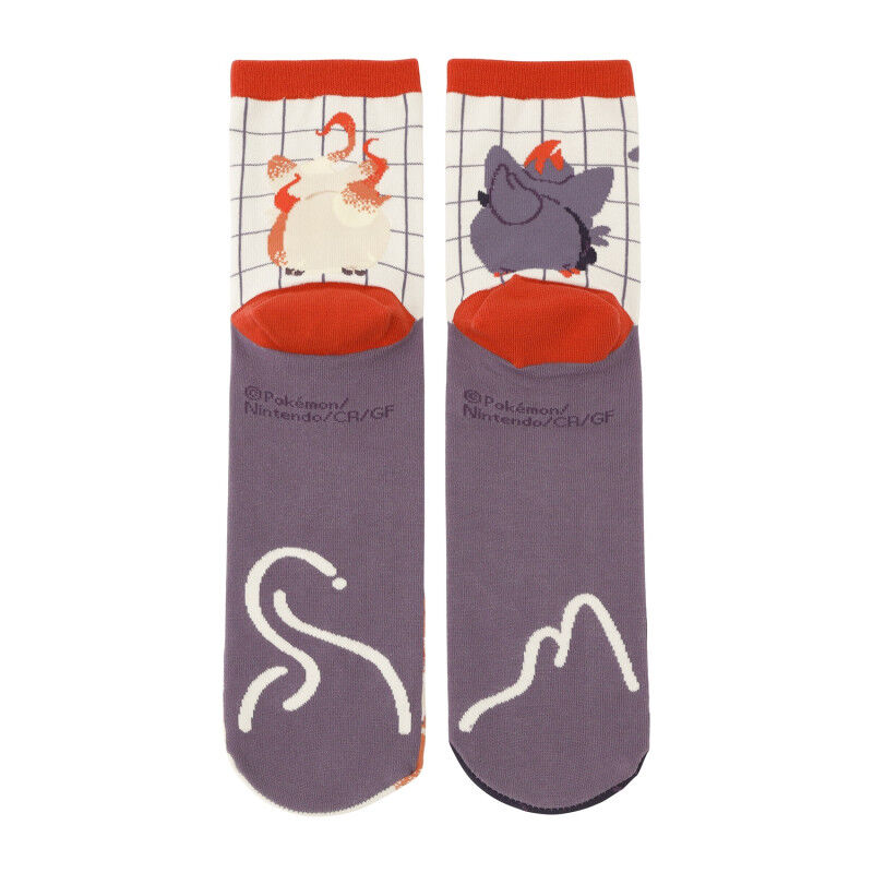  Zorua & Hisuian Pokémon-Socken (23-25cm)